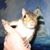 Richard Powell's profile image