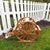 Cindy Ruport's profile image