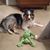 Debbie Wilkalis's profile image