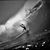 Mel Thoman's profile image