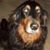 Lola Stanley's profile image