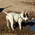 Clift Monge Sergio's profile image