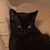Sheri Wright's profile image