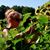 Amy M Lyndaker's profile image