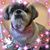 Lea Meeker's profile image