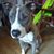 Michael Ray Workman Jr's profile image