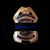 Casey Yarbrough's profile image