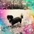 Denise Zlogar's profile image