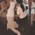 Linda HTan's profile image