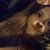 Sierra Abigail Roberts's profile image