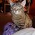 Melissa Sanson's profile image