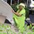 Sandra Brown's profile image
