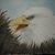 Sue Hendricks-Woods's profile image