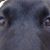 Stacy Wirth's profile image