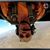 Robert Doerr's profile image