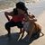 Tammy Anderson Fitzgerald's profile image