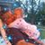 Leann Brege's profile image