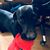 Sara Heyenga McVea's profile image