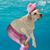 Liz Hare's profile image