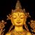 Fosil Khan's profile image