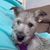 Peggy Kohlegk's profile image