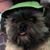 Tami Knott Loughren's profile image