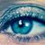 Ewa Rydzewska's profile image