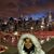 Mridula Shekhar's profile image