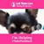 Sandy Blevins Mathena's profile image