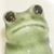 Nikki Behrens Bilderback's profile image