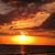 Carin Griebe's profile image