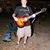 Jamie Cary's profile image