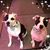 Sheri Breazeale Kassalias's profile image
