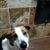 Tonya Morris Bronson's profile image