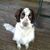 Rosemarie Mulqueen's profile image