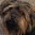 Marianne Scarpelli's profile image