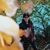 Bryant Sanchez's profile image