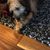Mary Framstad Saunders's profile image