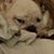 Debra Ridener Moore's profile image