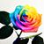 Tawny Sanchez's profile image