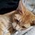 Kathy Marie's profile image