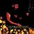 Jody Buckley Sr.'s profile image
