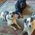 Margaret Jones's profile image