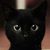 Jennie Nina P's profile image