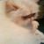 Murna Gitlin's profile image
