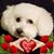 Thea Tanner's profile image