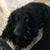 Sandra Wakefield's profile image