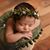 Dolores Piña Rosales's profile image