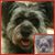 Kim Scott Allen's profile image