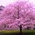 Jim-Brenda Tuxford's profile image